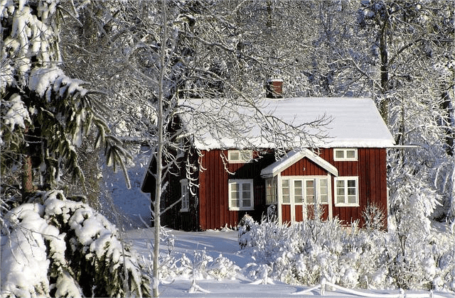 Heavy snow covered the red cabin and surrounding vegetation